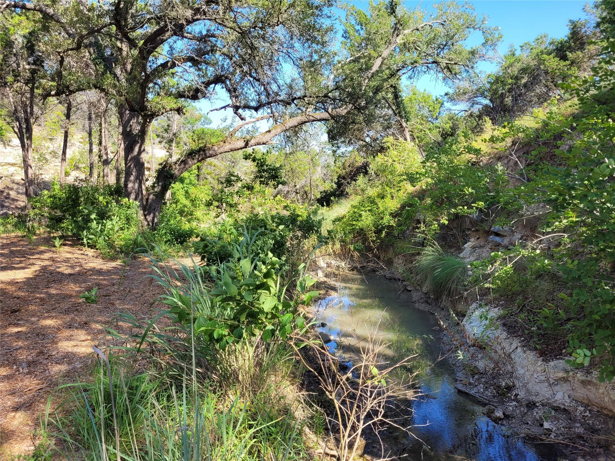 Dripping Springs