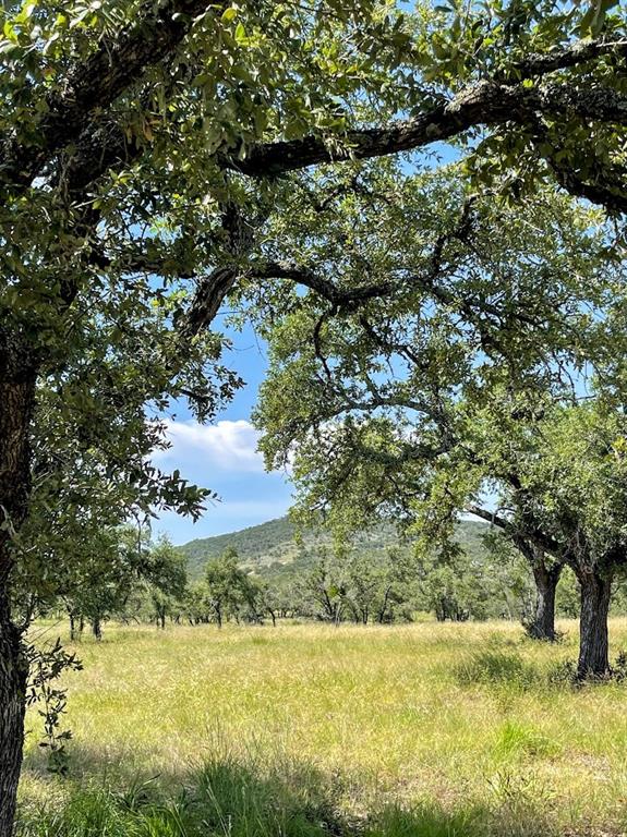 Dripping Springs
