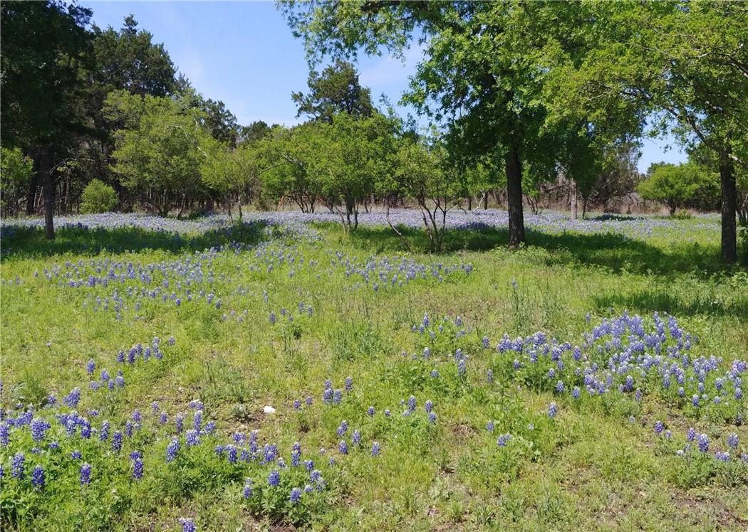 Marble Falls