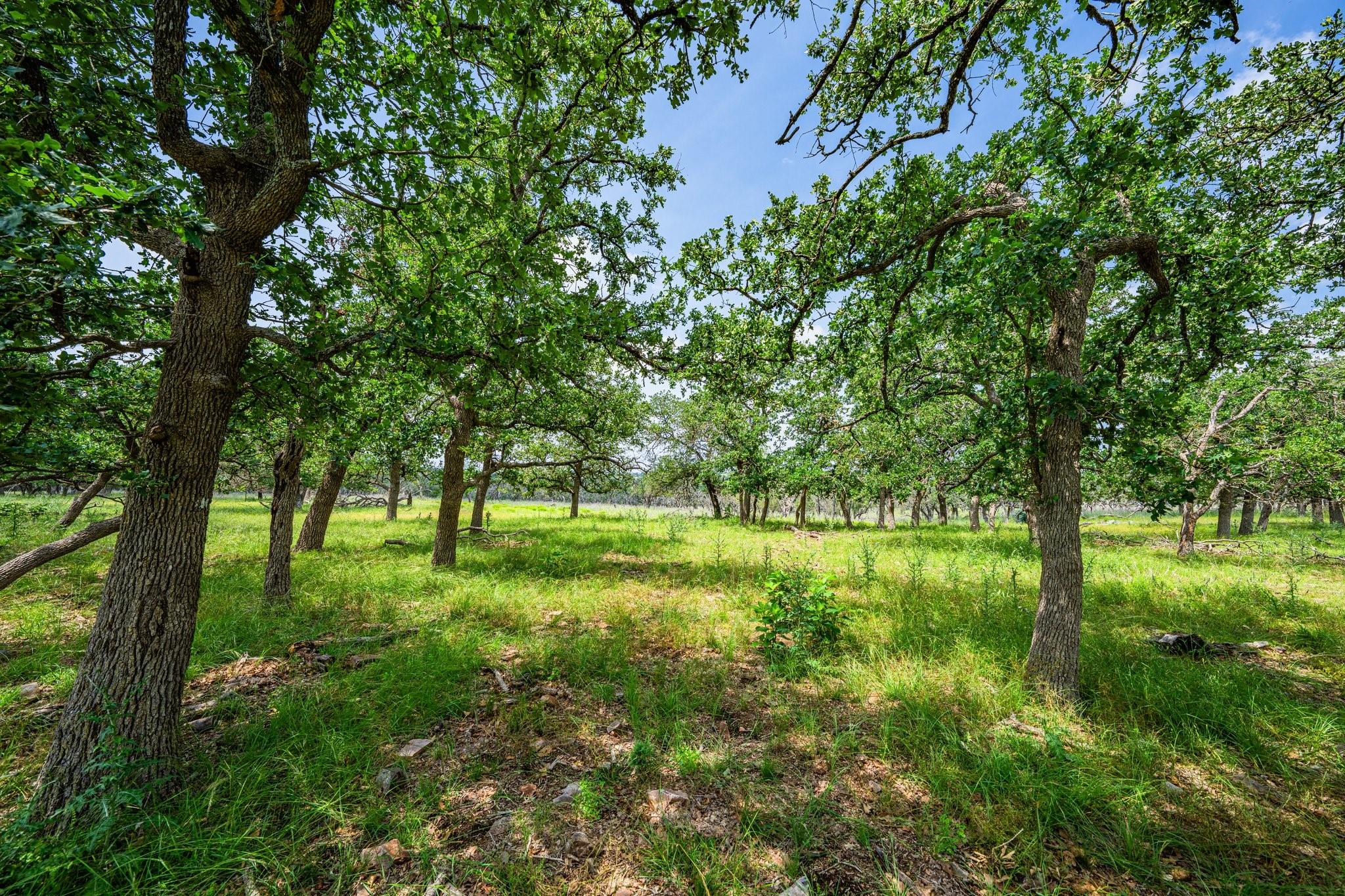 Fredericksburg