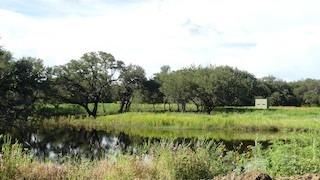 Brownwood