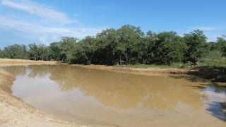 Brownwood