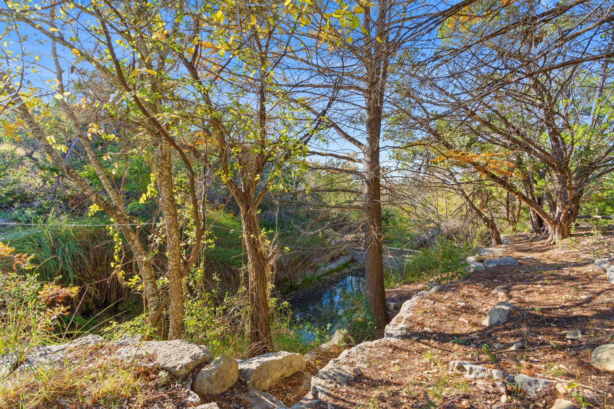 Dripping Springs