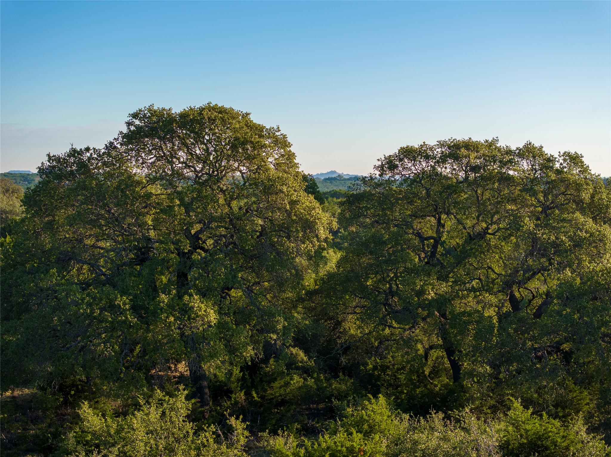 Lampasas