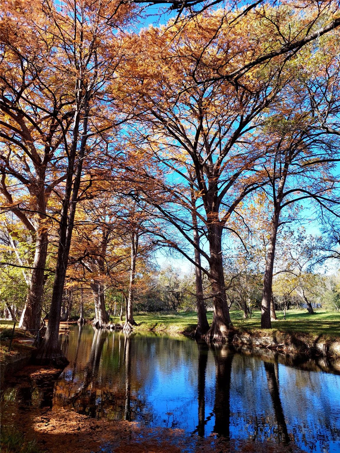 Wimberley