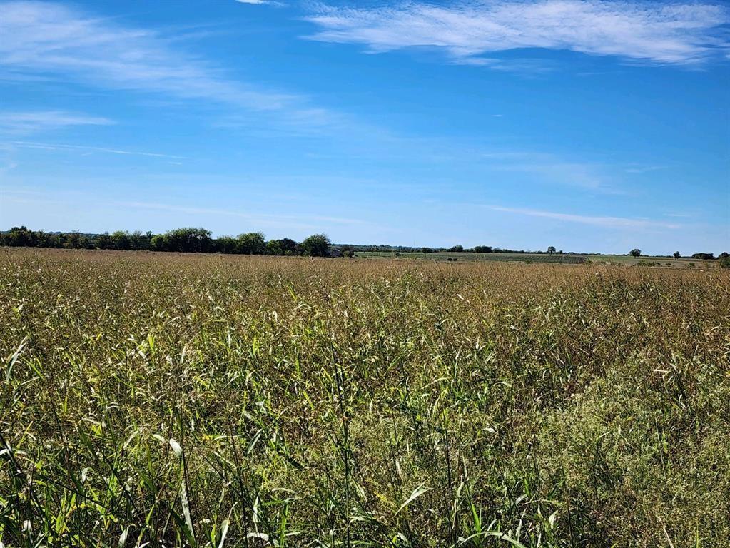 Thorndale