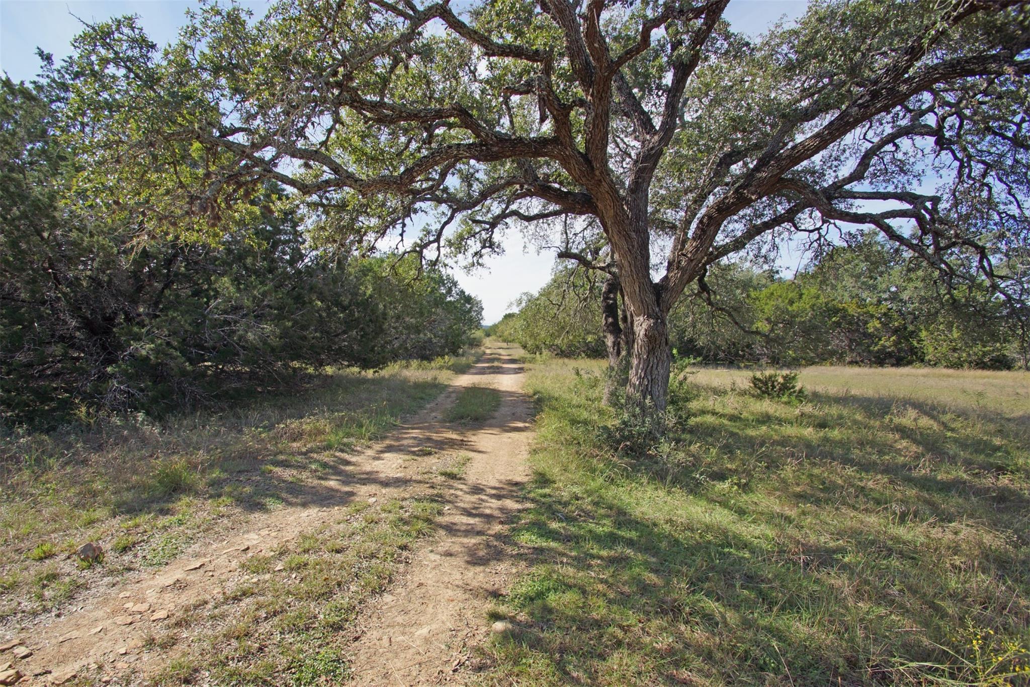 Spicewood