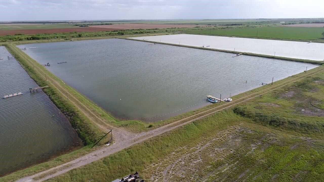 Raymondville