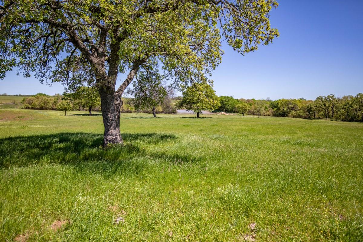 Springtown