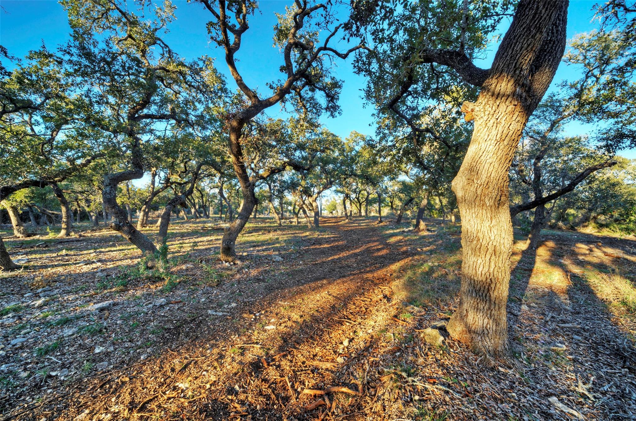 Wimberley