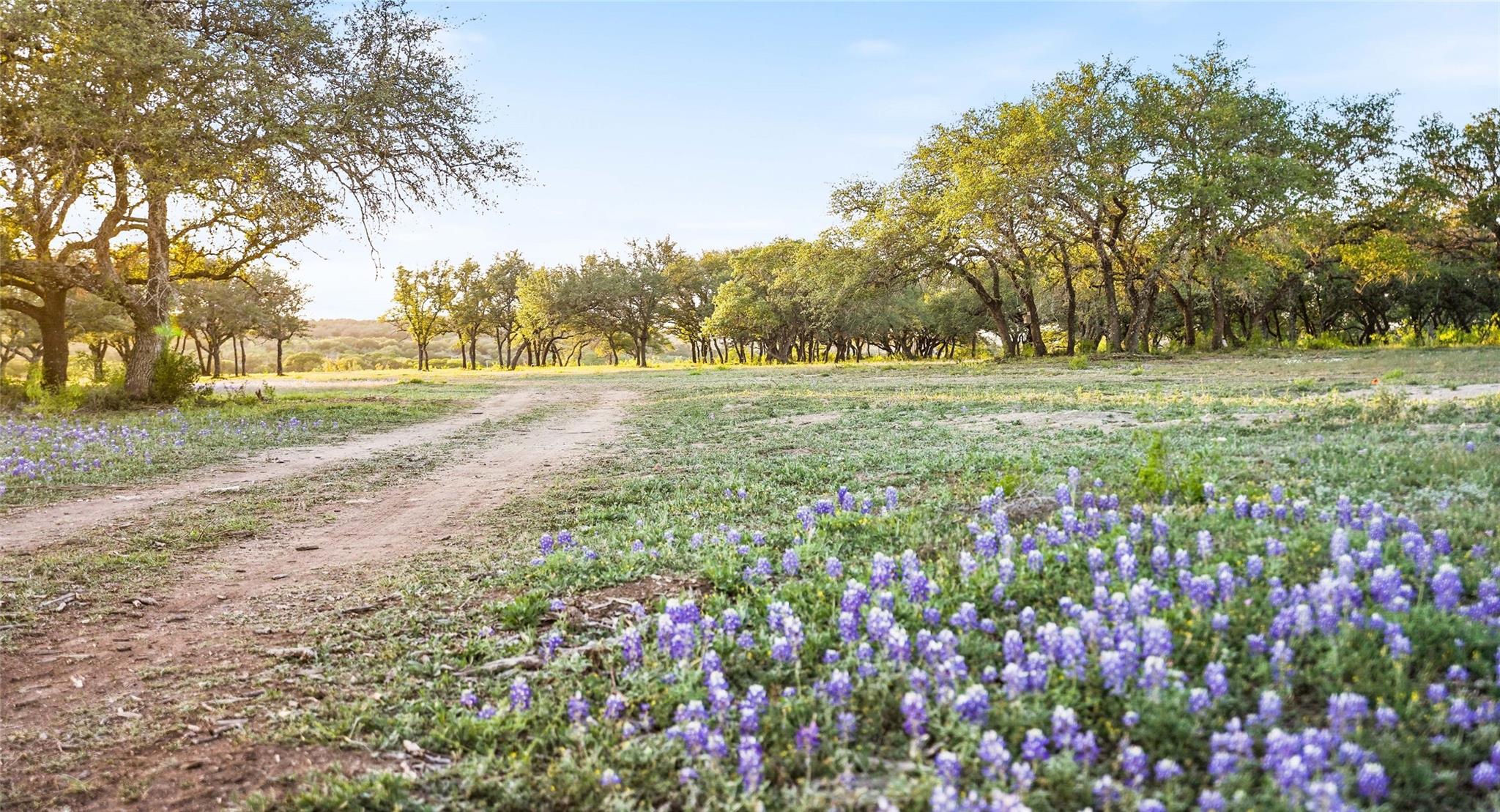 Spicewood
