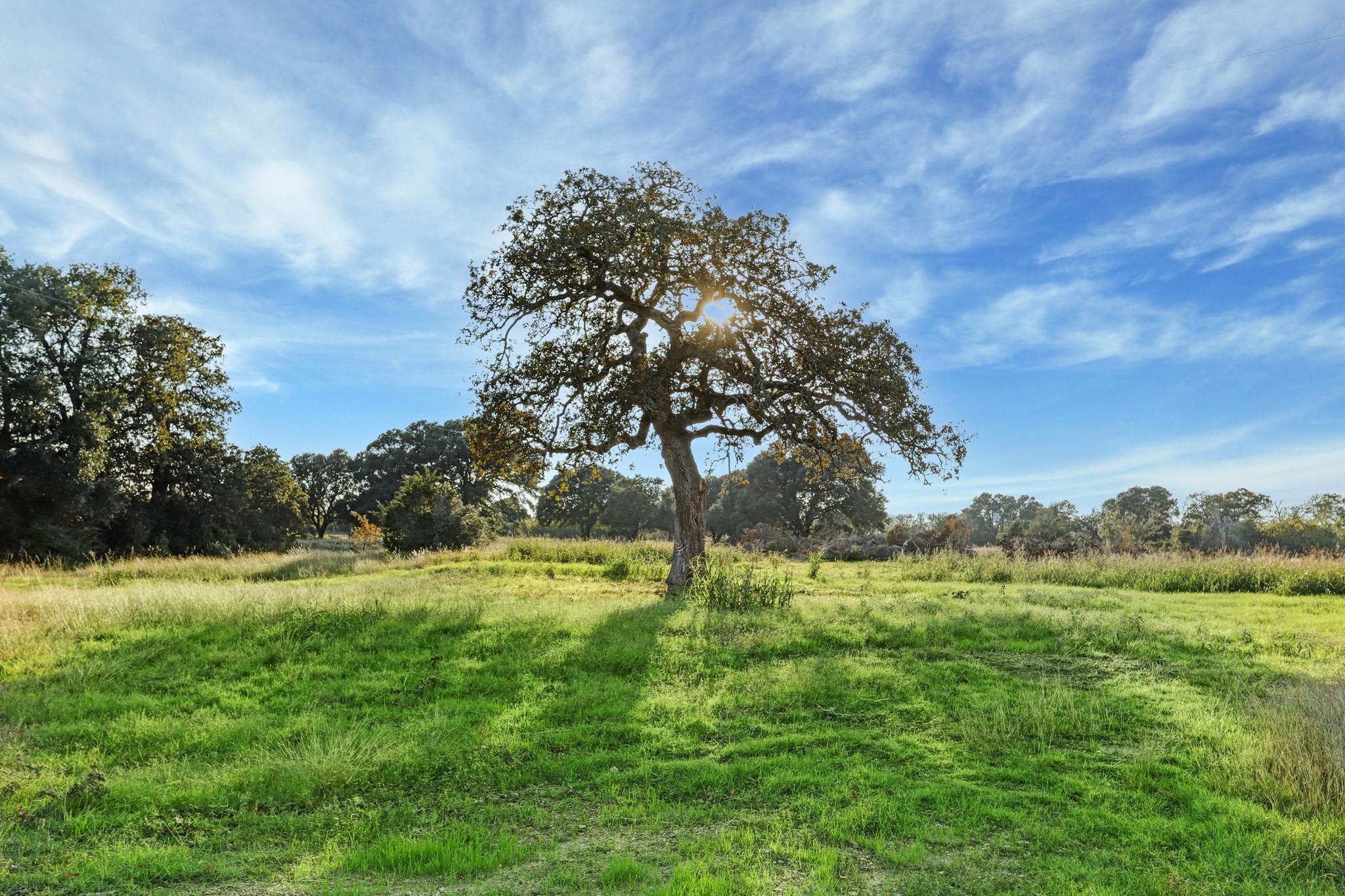 Round Top