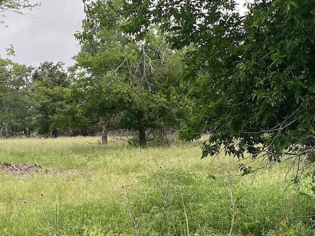 Dripping Springs