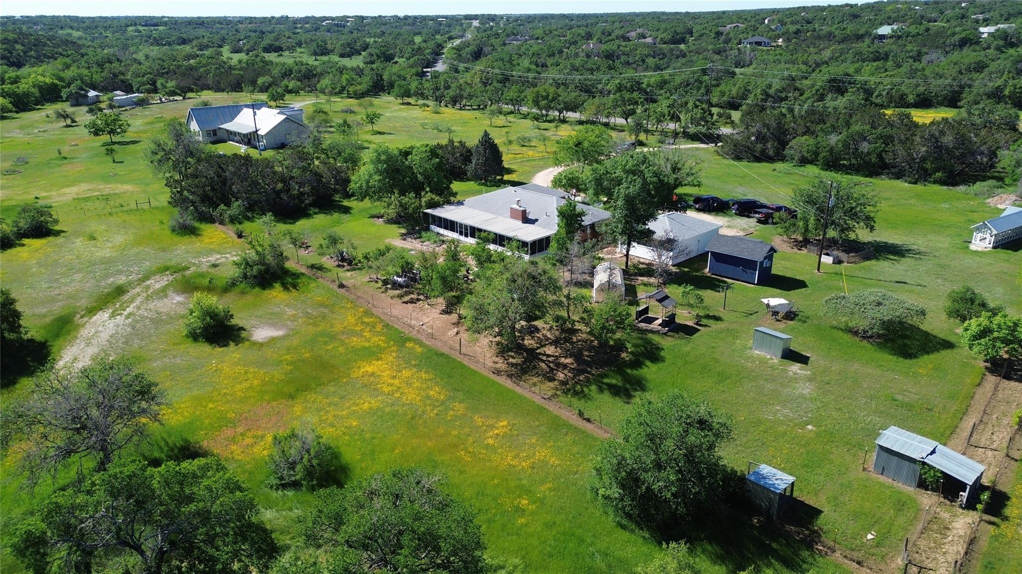 Driftwood