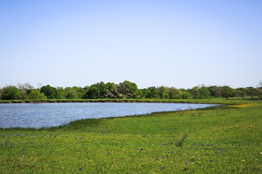 Chappell Hill