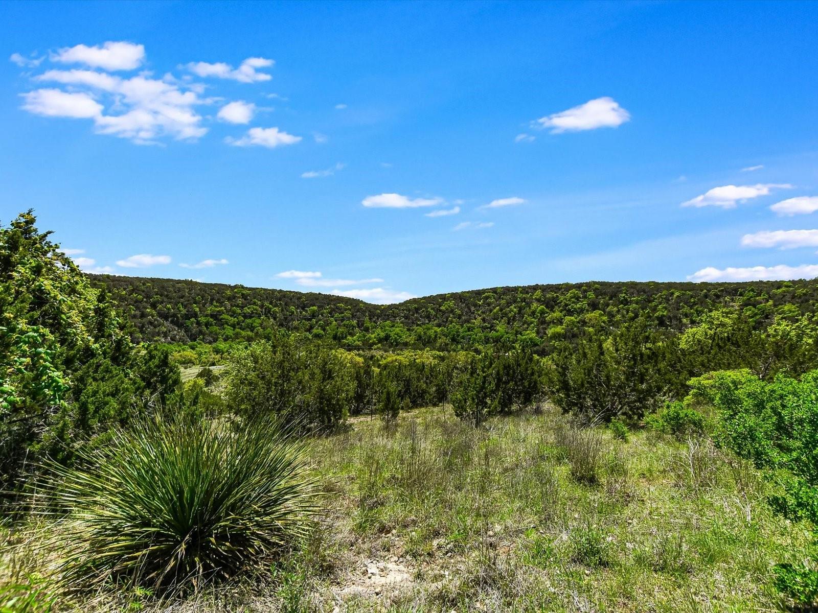 Wimberley