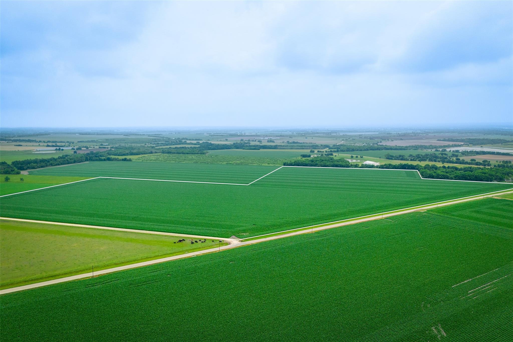 Thorndale