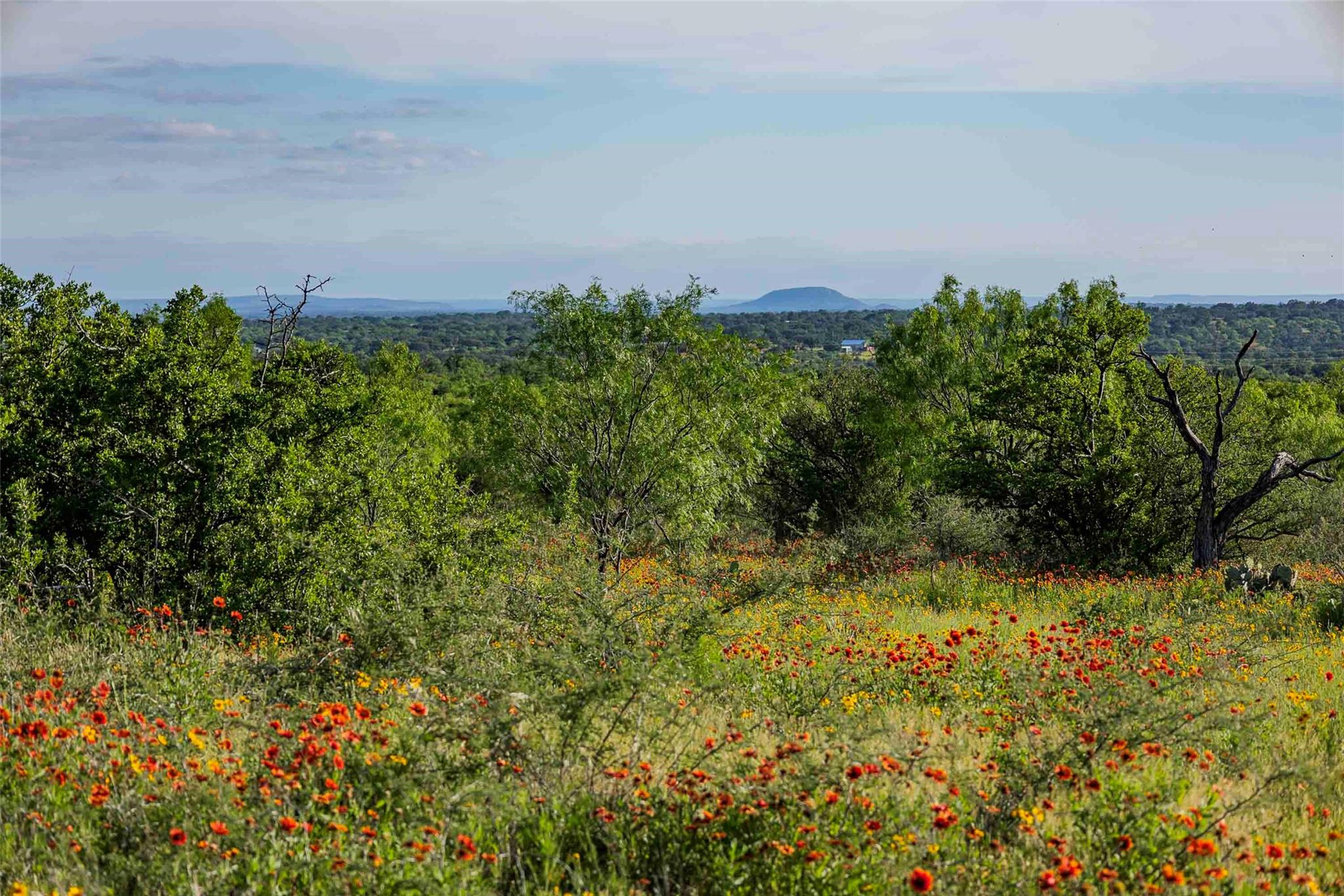 Llano