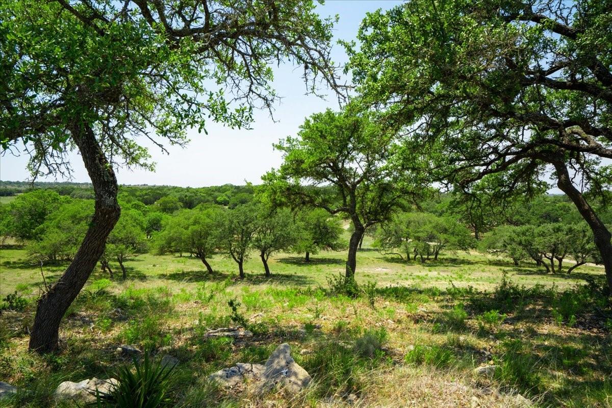 Dripping Springs