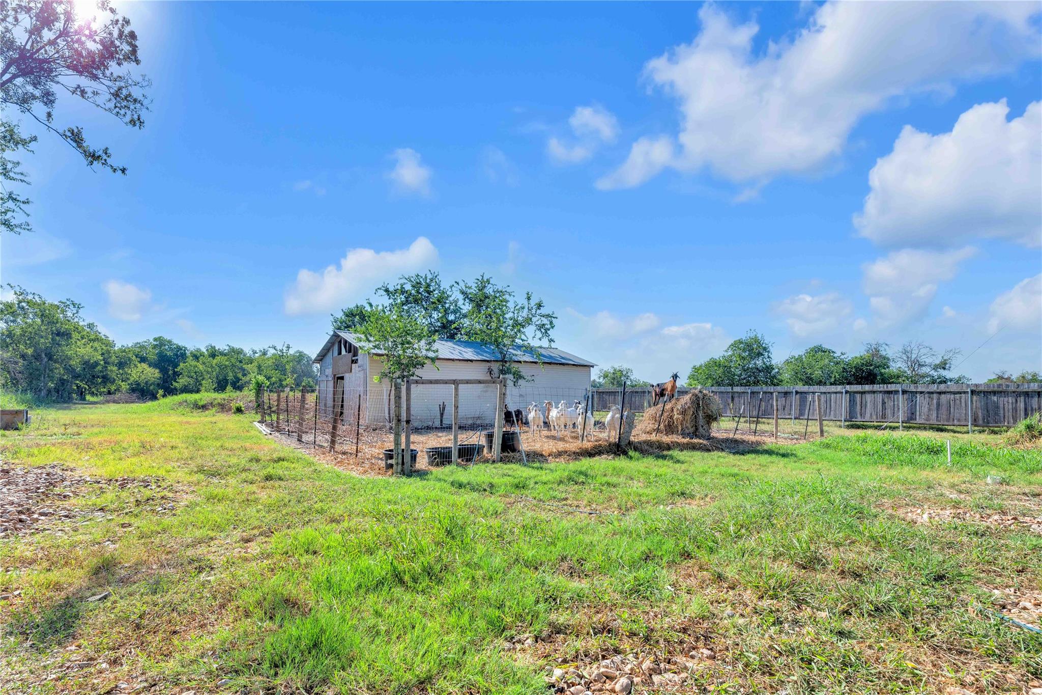 20235 Engelmann LN photo 37