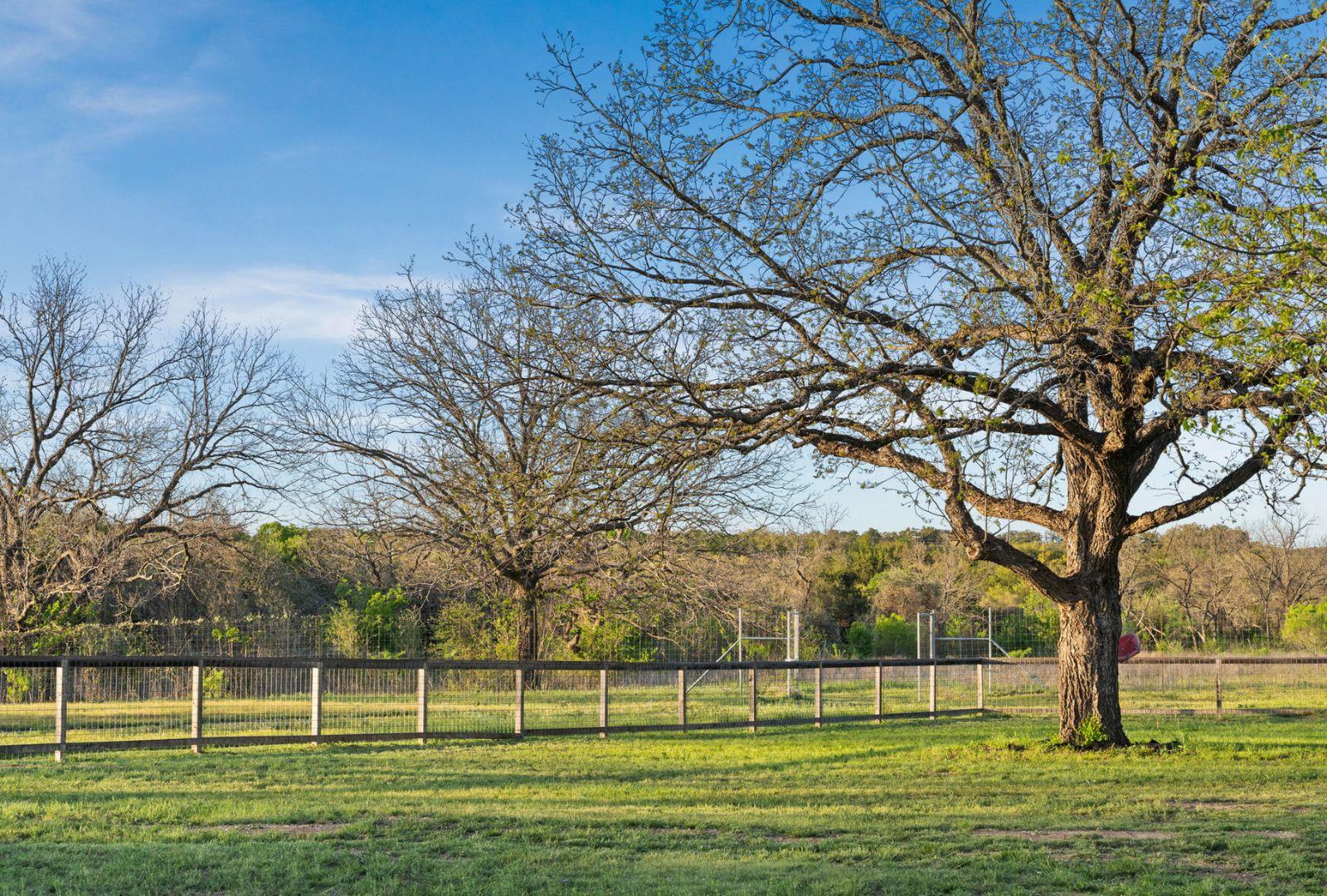 18405 Angel Valley DR photo 18