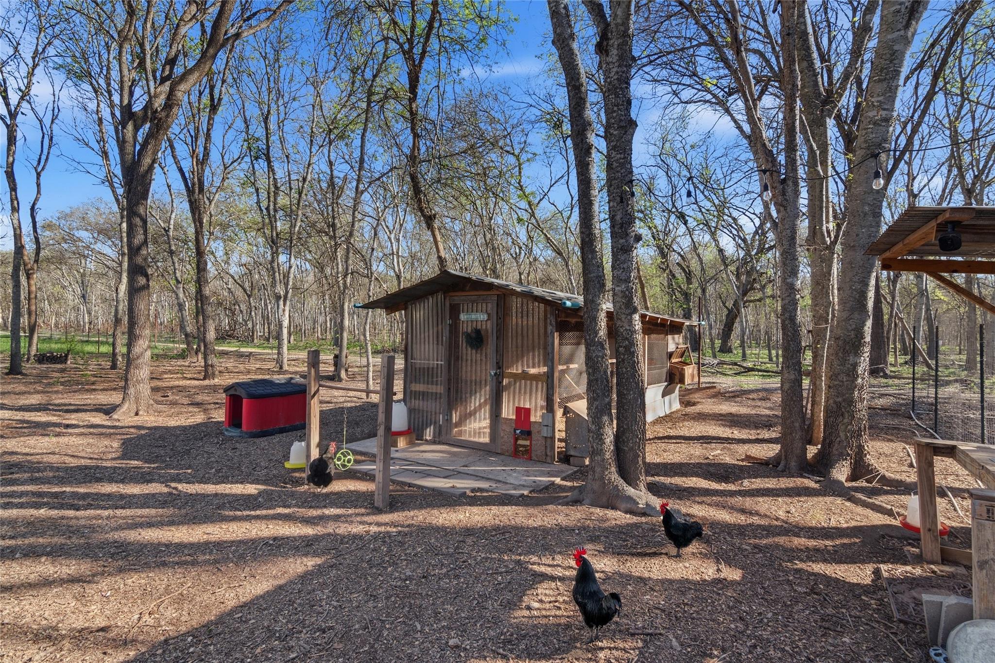 121 Lakeside DR photo 36