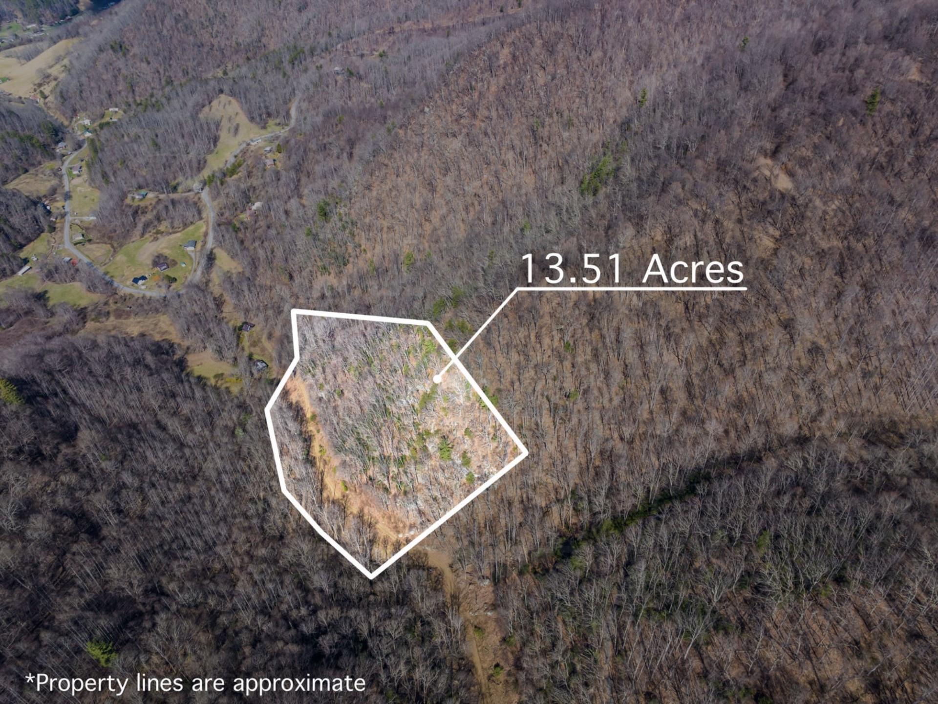 Homes for sale in Hot Springs, NC | 145 Raspberry Ln, Hot Springs, NC 28743 | MLS# 4005973