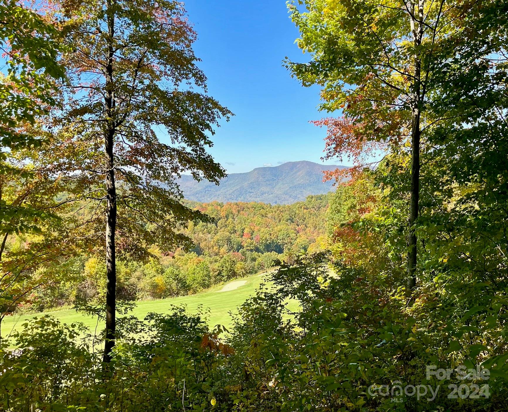1781 High Line Road Sylva, North Carolina, United States Home For Sale