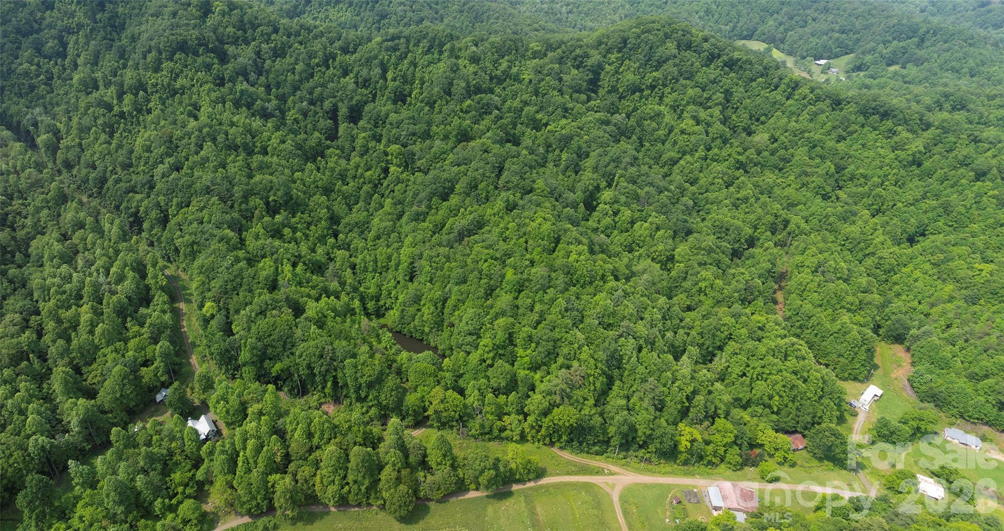 320 Board Tree Rd, Marshall, NC 28753