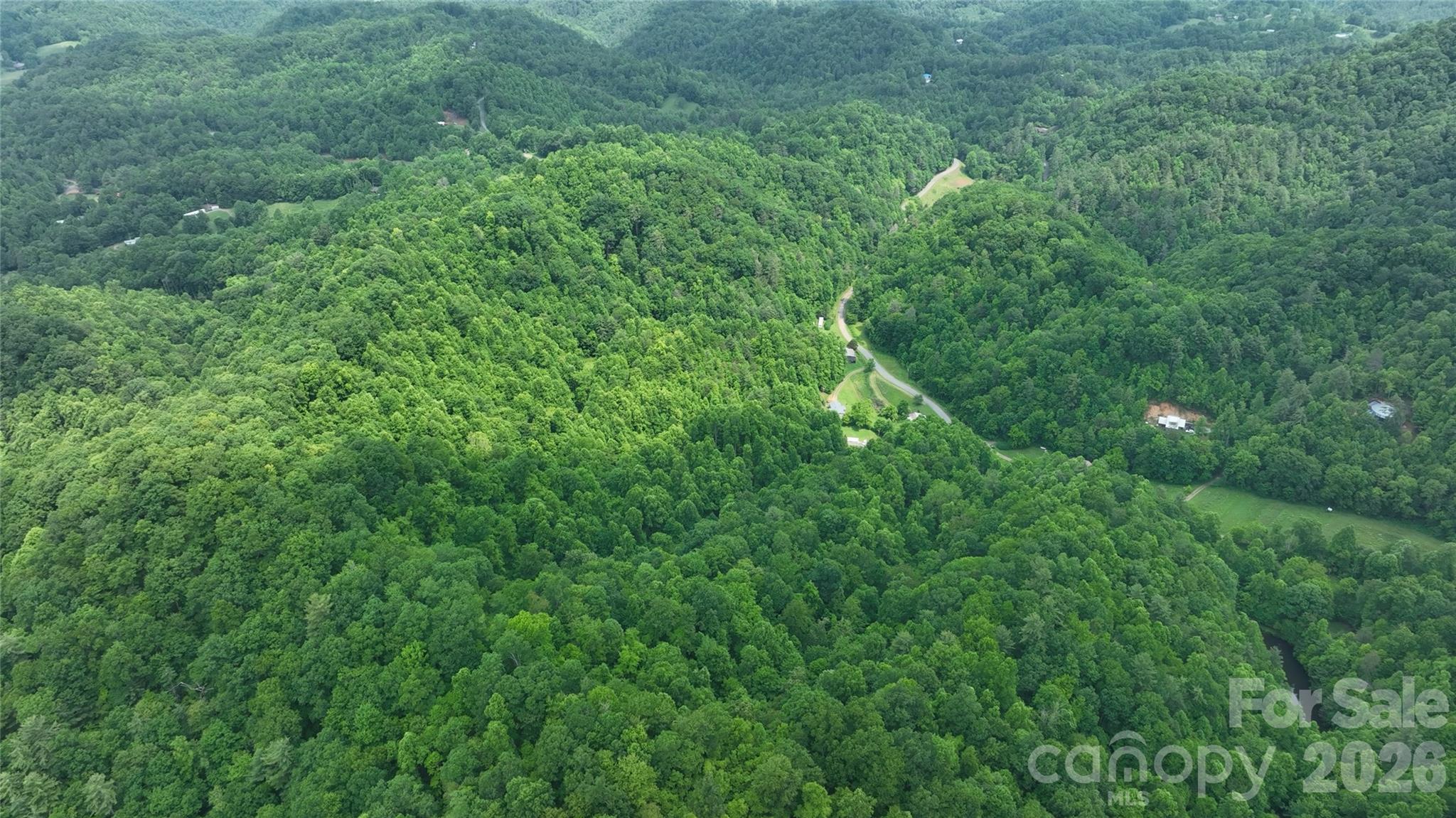 320 Board Tree Rd, Marshall, NC 28753