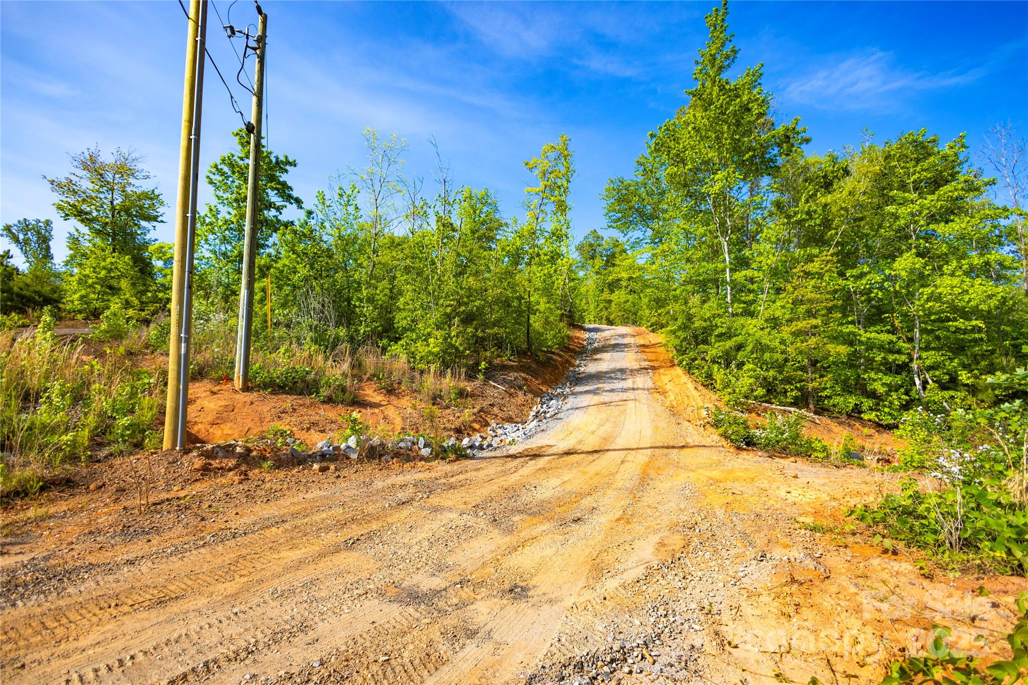 MLS #CAR4274523 image #6