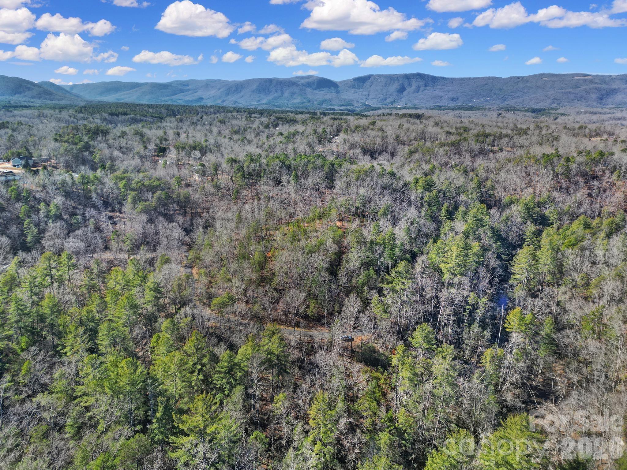 MLS #CAR4333410 image #9