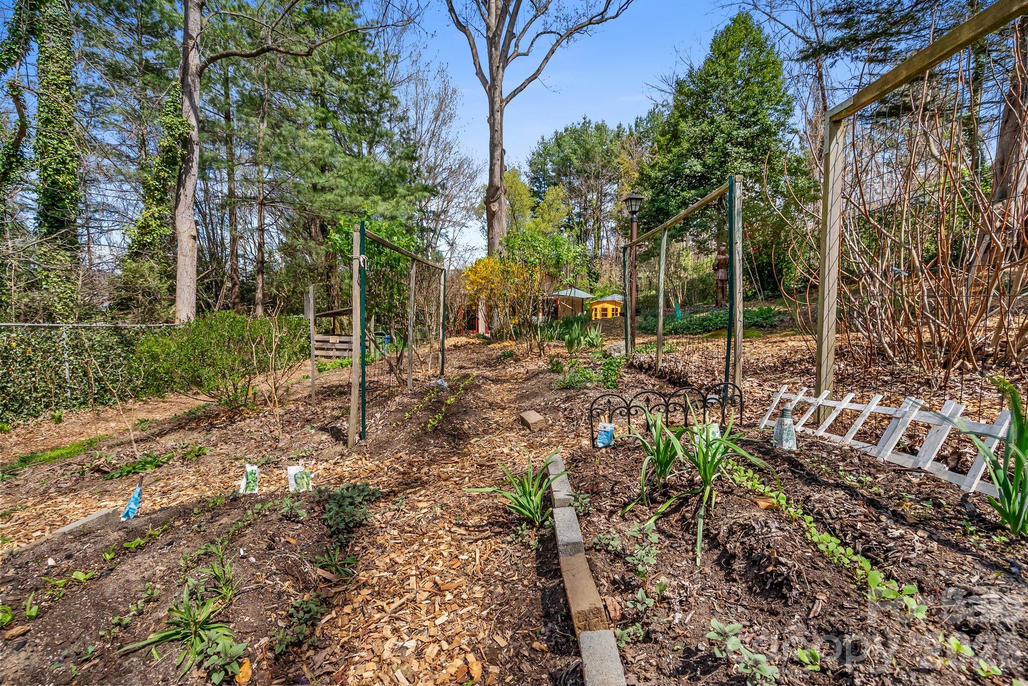 MLS #CAR4351821 image #34