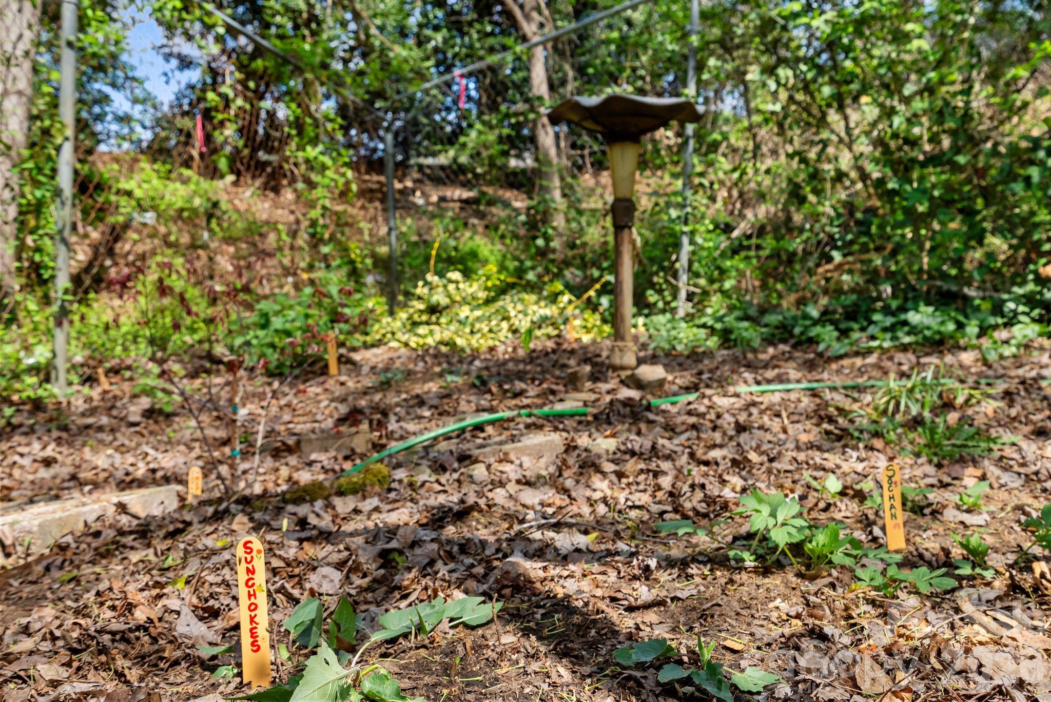 MLS #CAR4351821 image #43