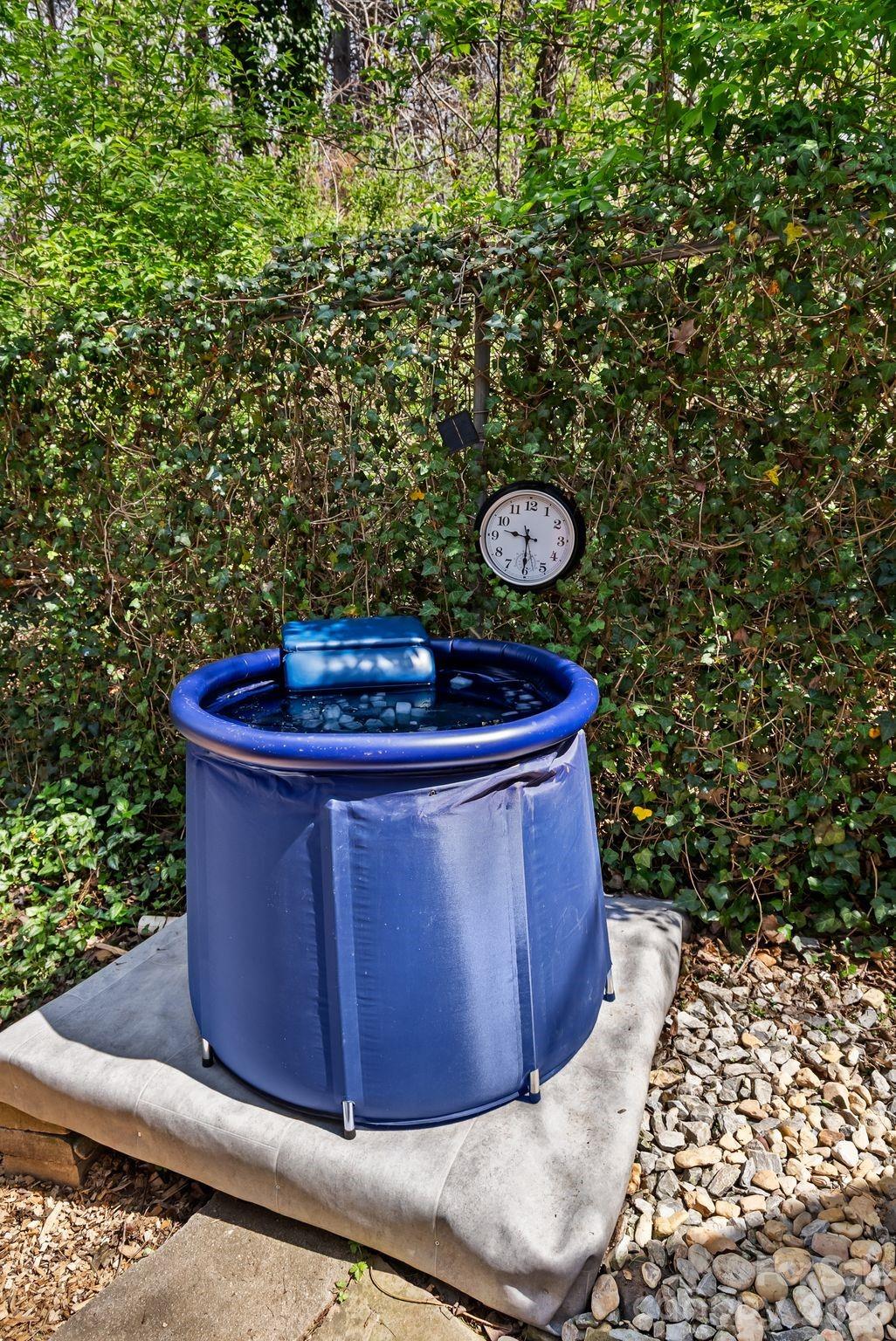 MLS #CAR4351821 image #24