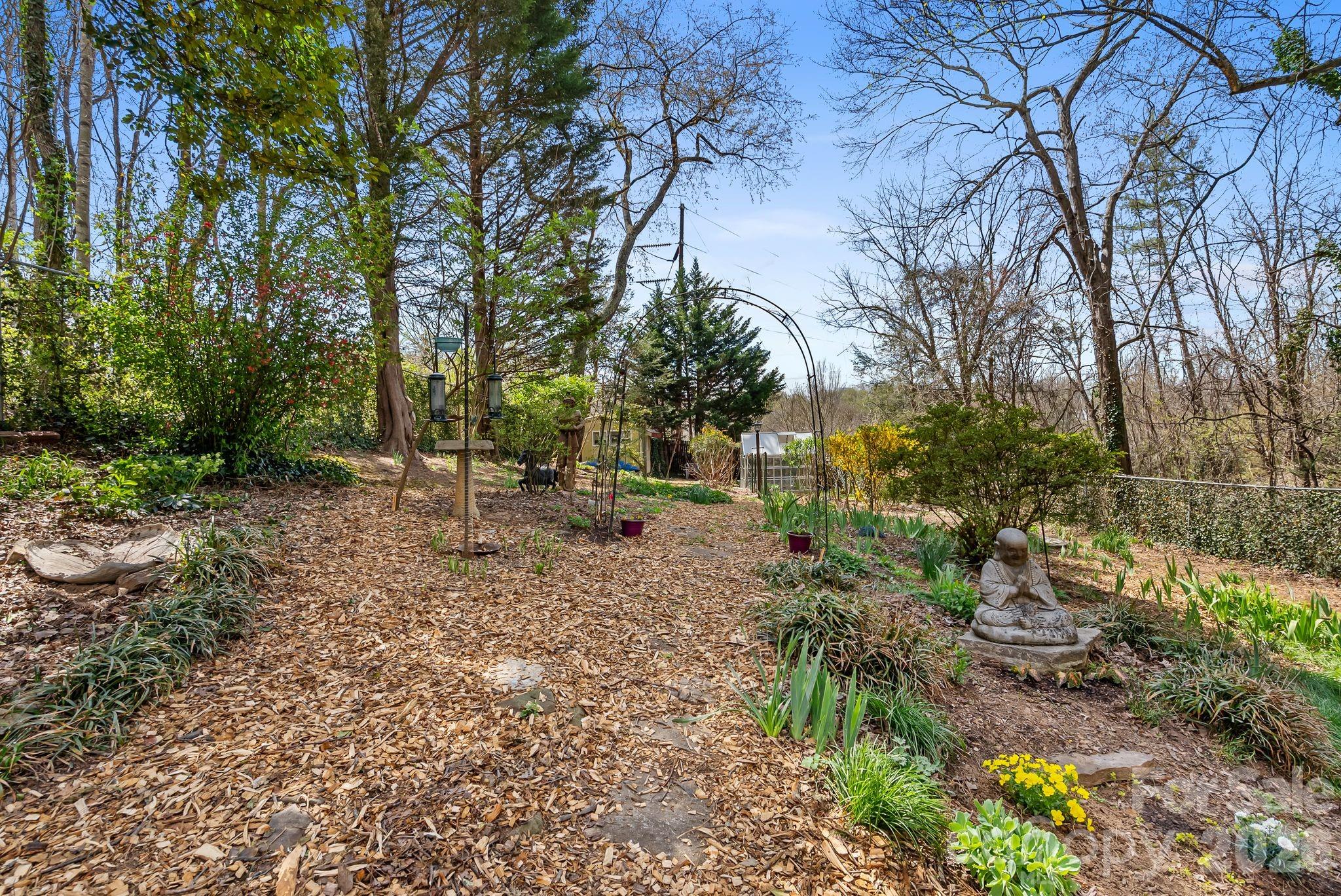 MLS #CAR4351821 image #32