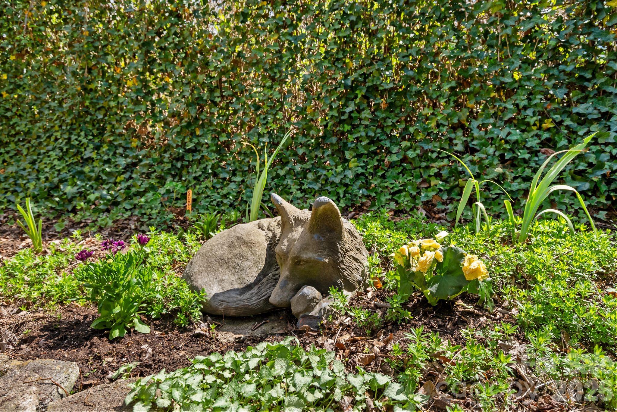 MLS #CAR4351821 image #28