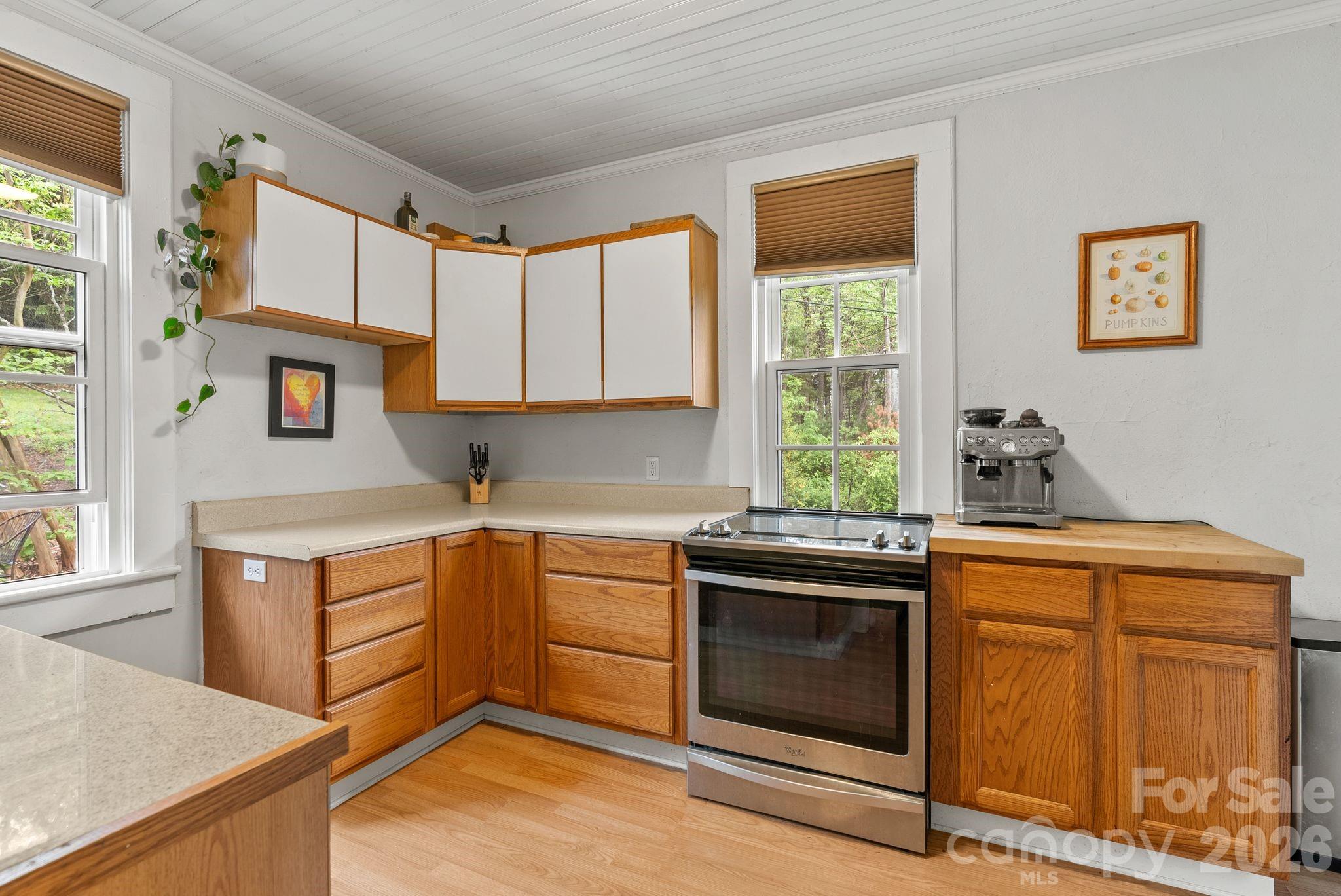 MLS #CAR4357562 image #10