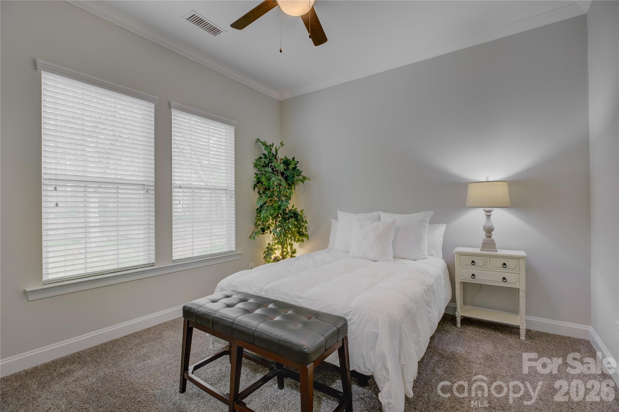 MLS #CAR4357758 image #17