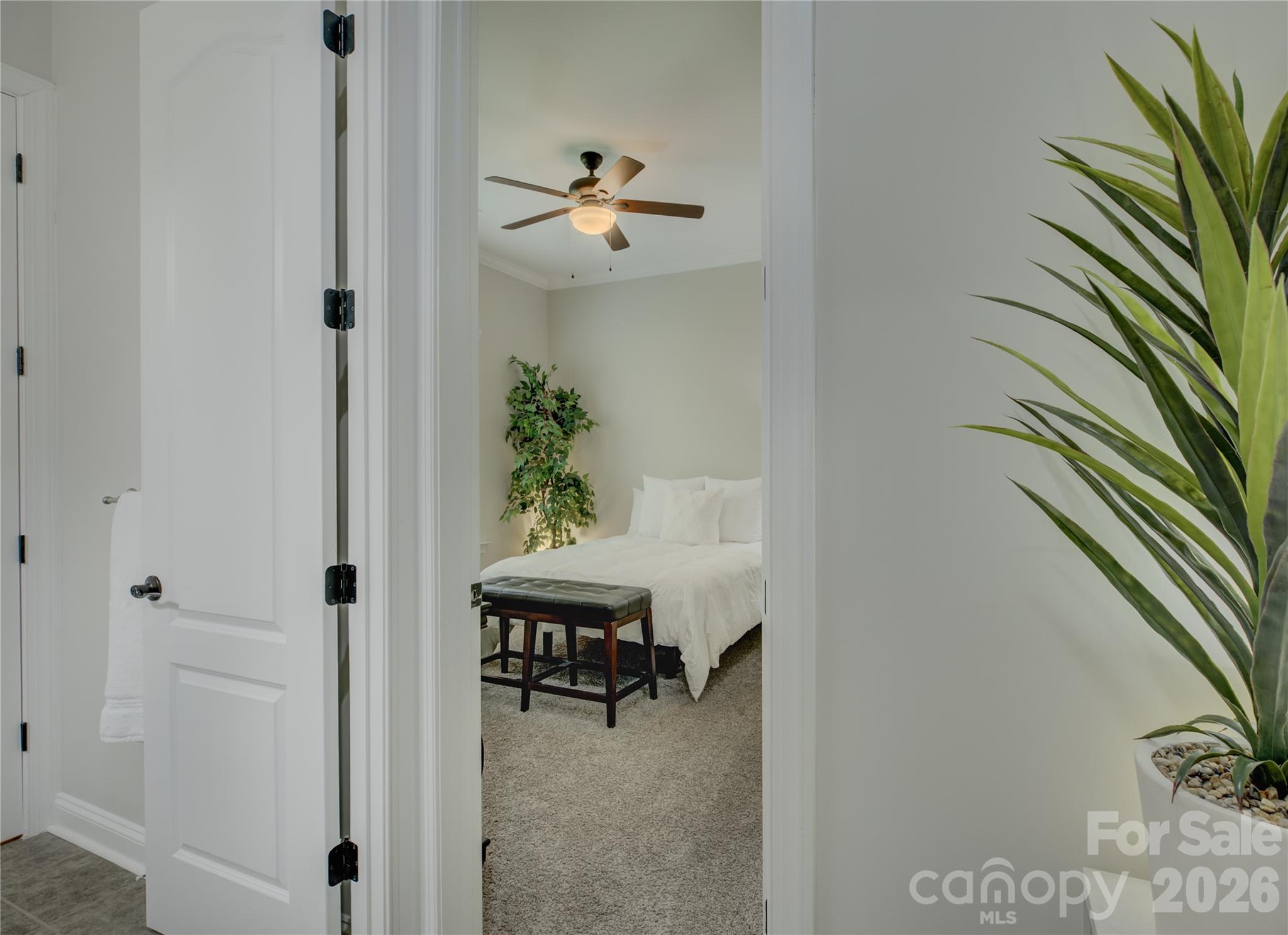 MLS #CAR4357758 image #16