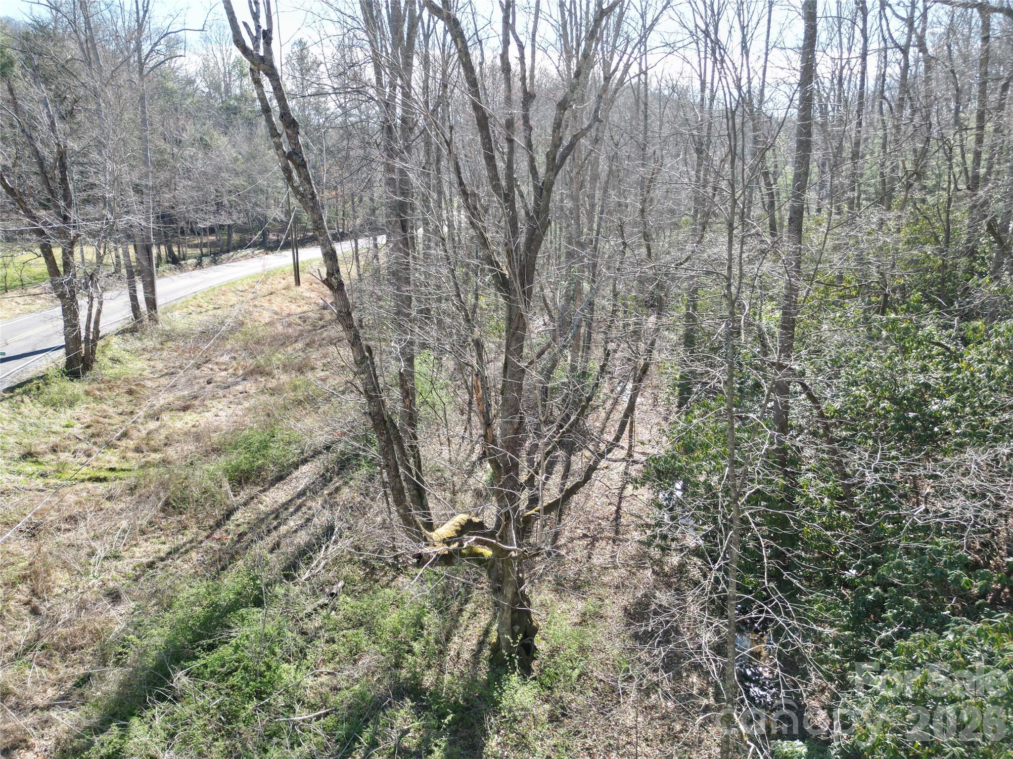 MLS #CAR4359793 image #5