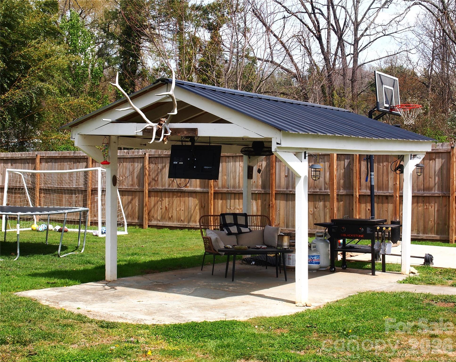 MLS #CAR4360518 image #33