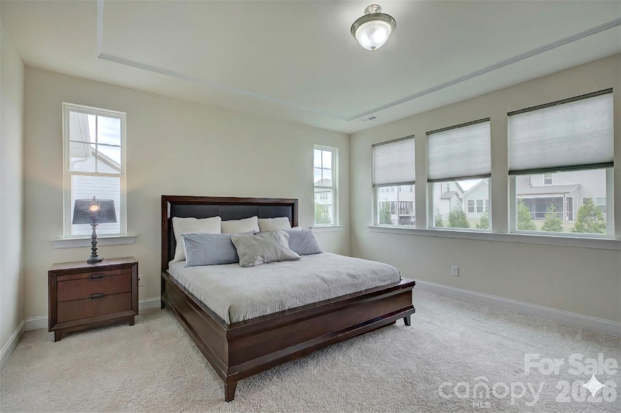 MLS #CAR4360972 image #26