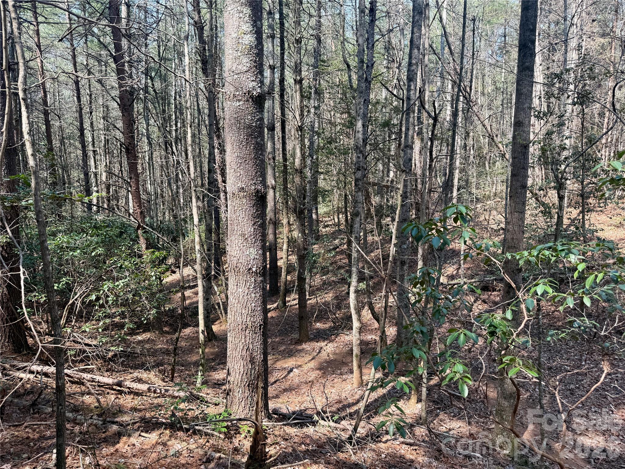 MLS #CAR4362650 image #9