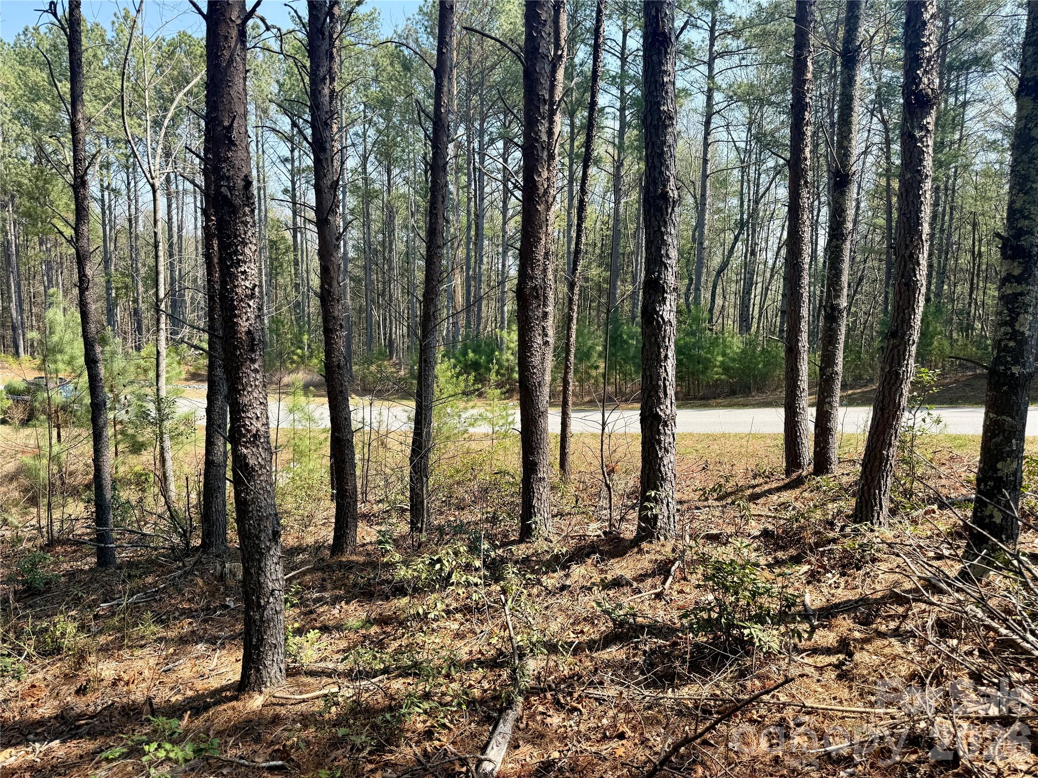 MLS #CAR4362650 image #12