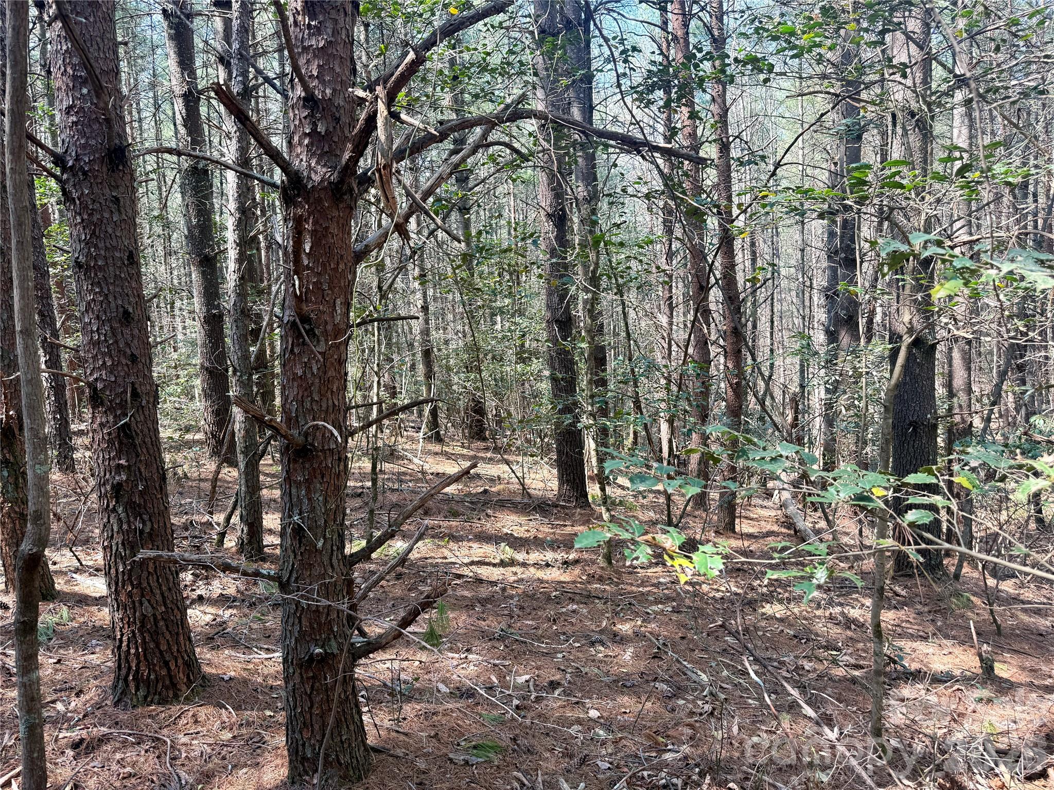 MLS #CAR4362650 image #3