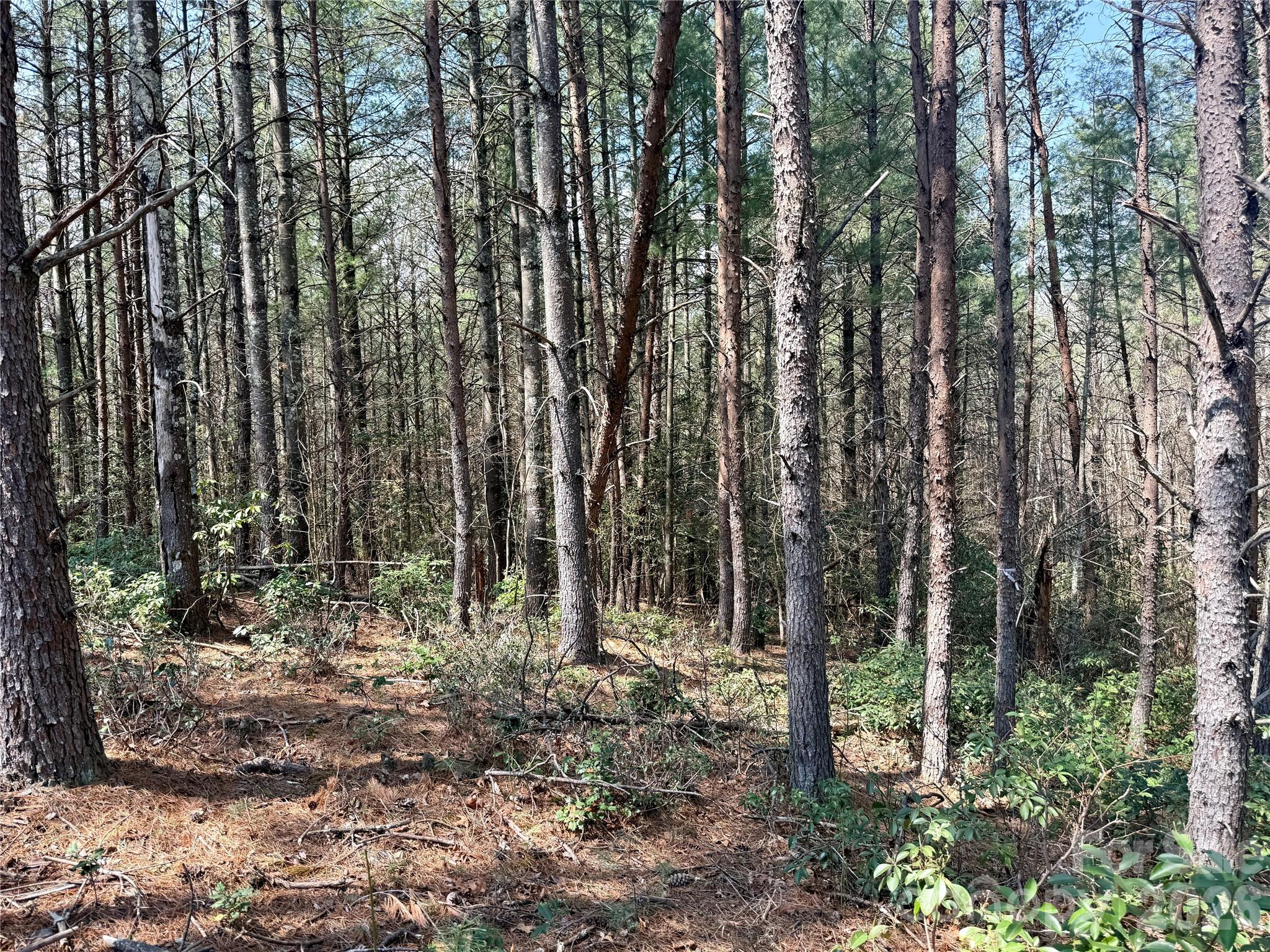 MLS #CAR4362650 image #10