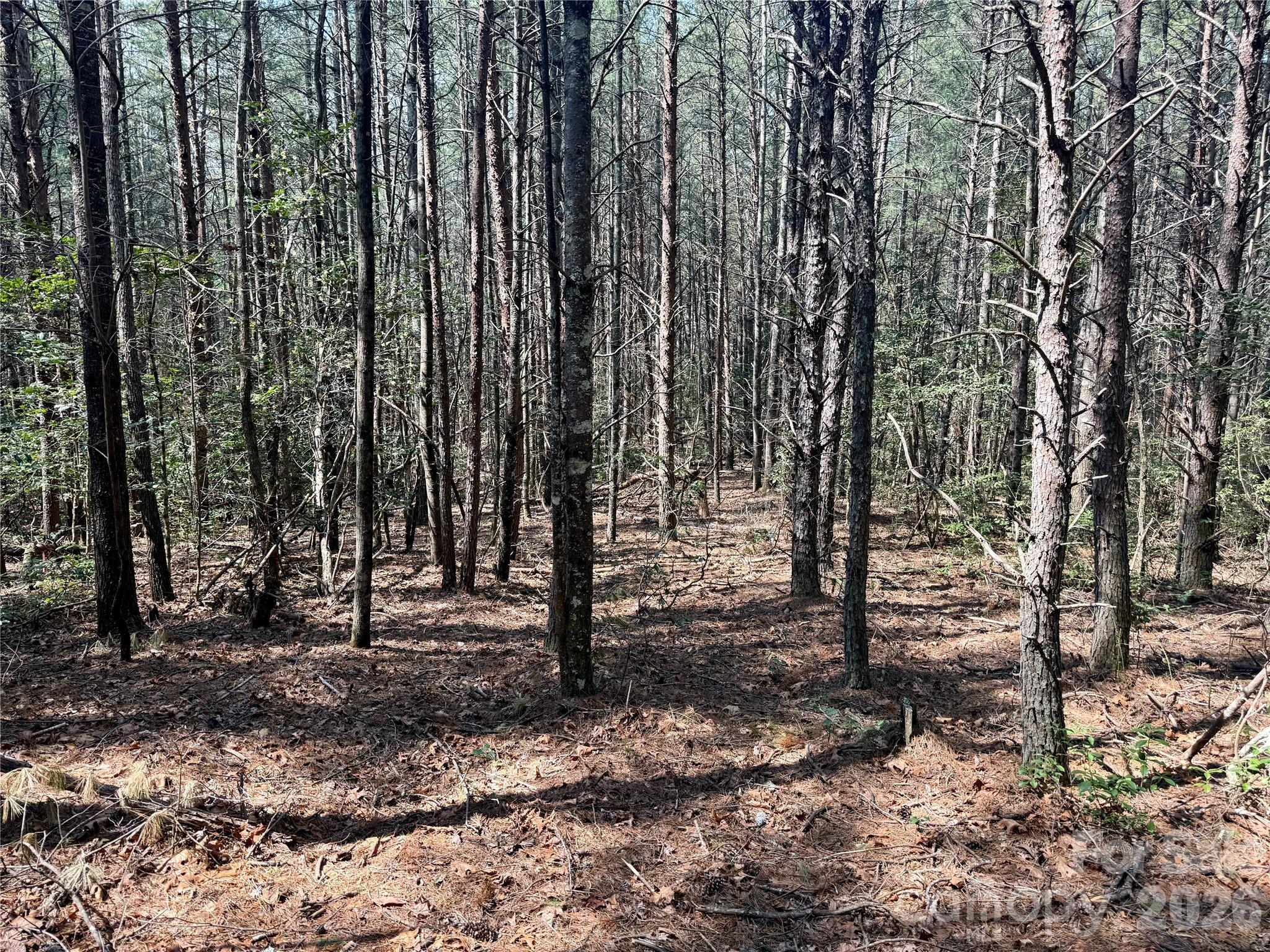 MLS #CAR4362650 image #7