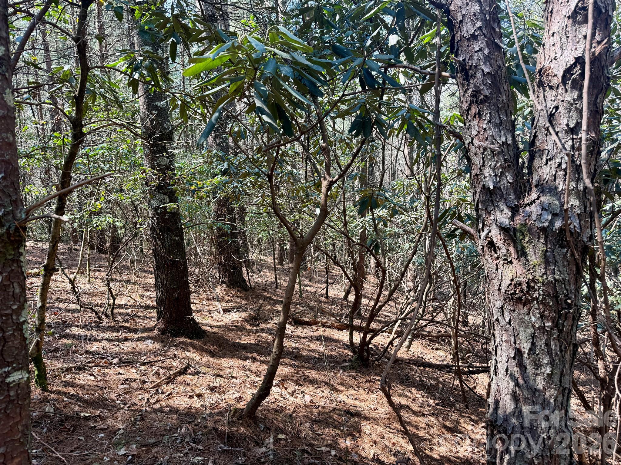 MLS #CAR4362650 image #2