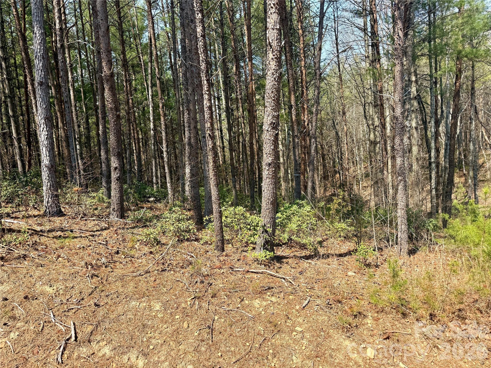 MLS #CAR4362650 image #11